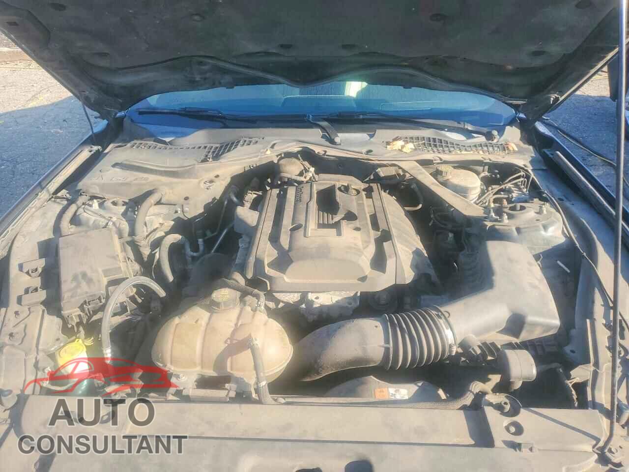 FORD MUSTANG 2015 - 1FA6P8TH5F5313763