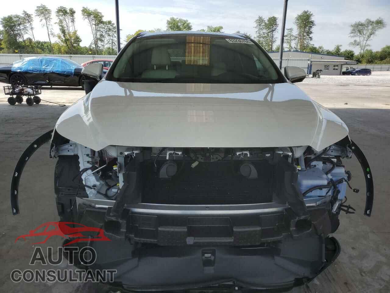 LEXUS RX350 2023 - 2T2BAMBA2PC011130