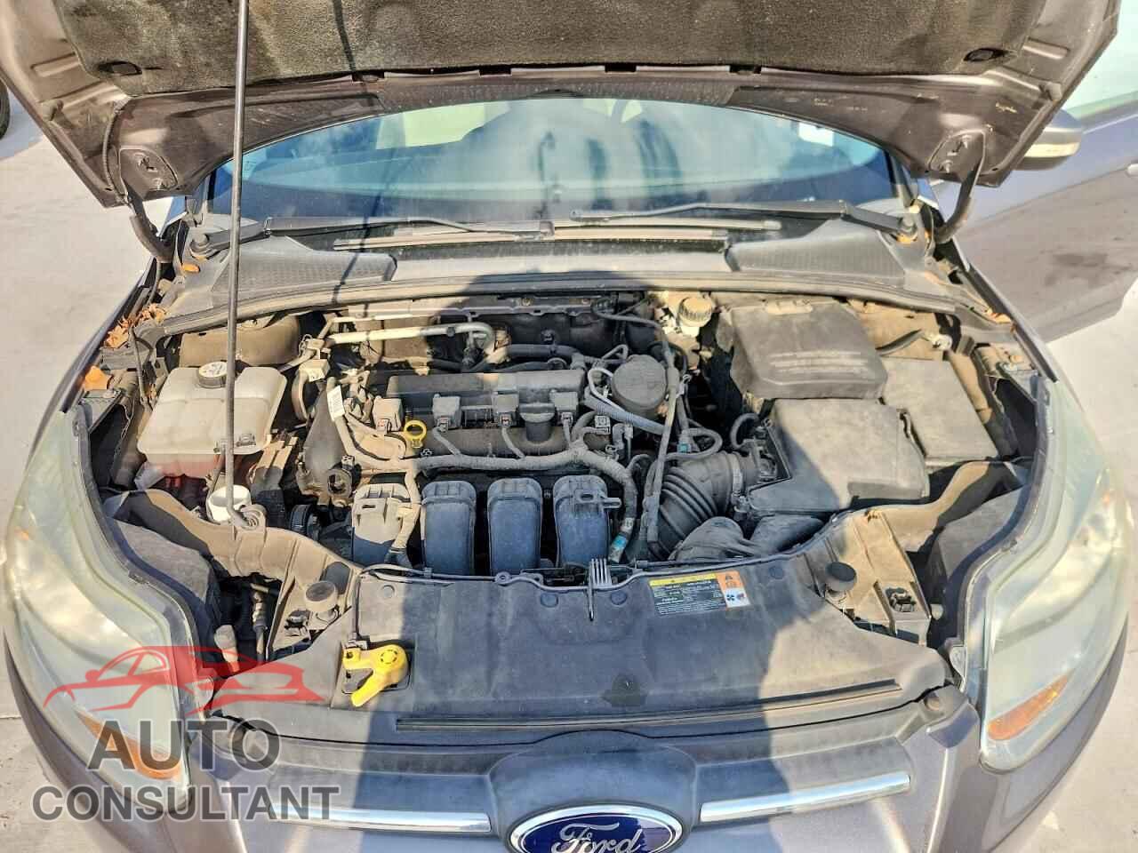 FORD FOCUS 2014 - 1FADP3K28EL192387