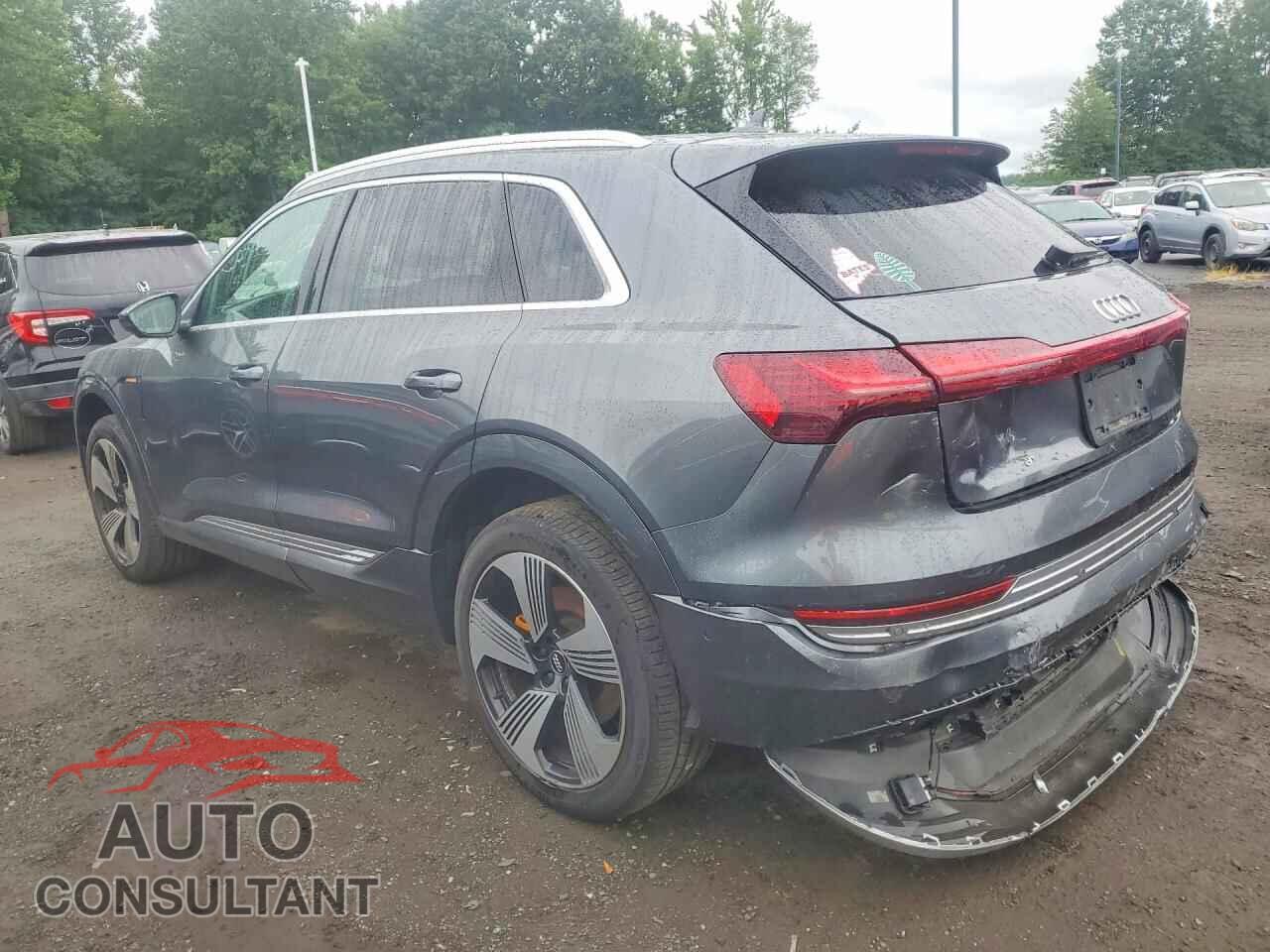 AUDI E-TRON 2019 - WA1VAAGE3KB006760