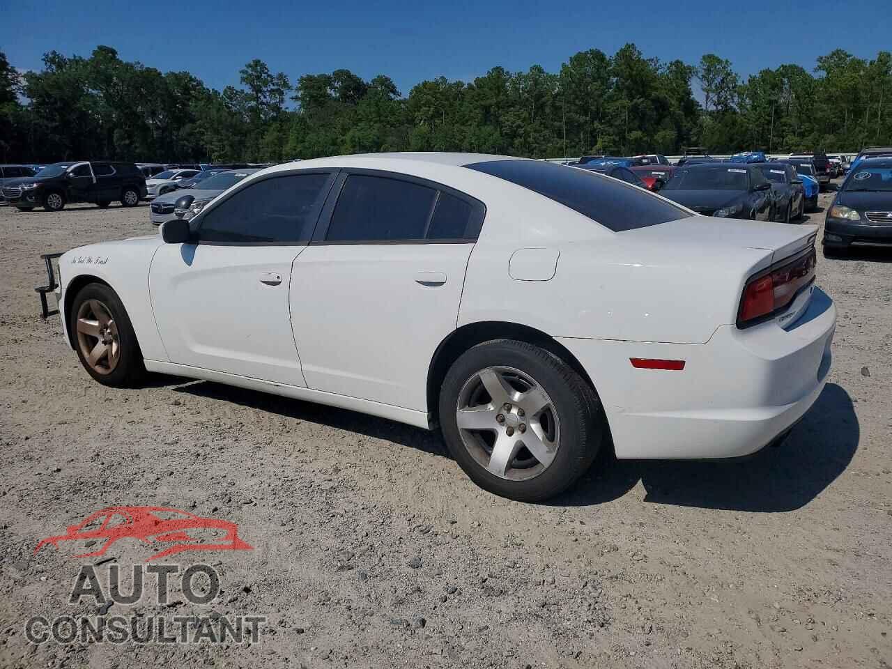 DODGE CHARGER 2014 - 2C3CDXAT2EH348697