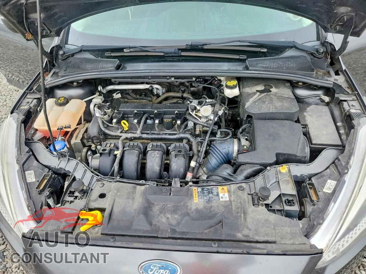 FORD FOCUS 2018 - 1FADP3F24JL276808