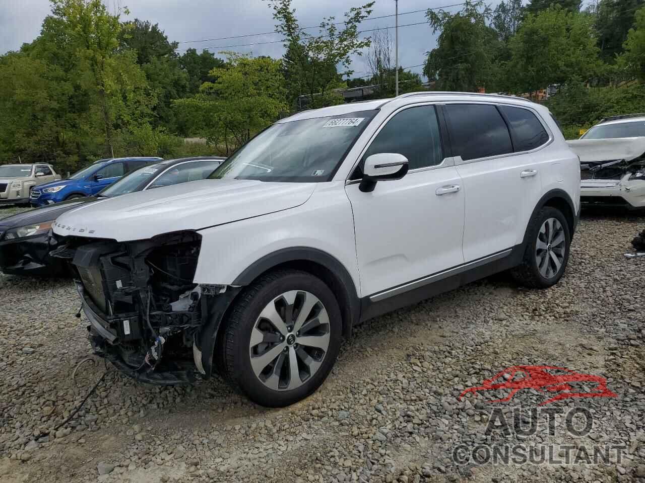 KIA TELLURIDE 2021 - 5XYP6DHC5MG151192