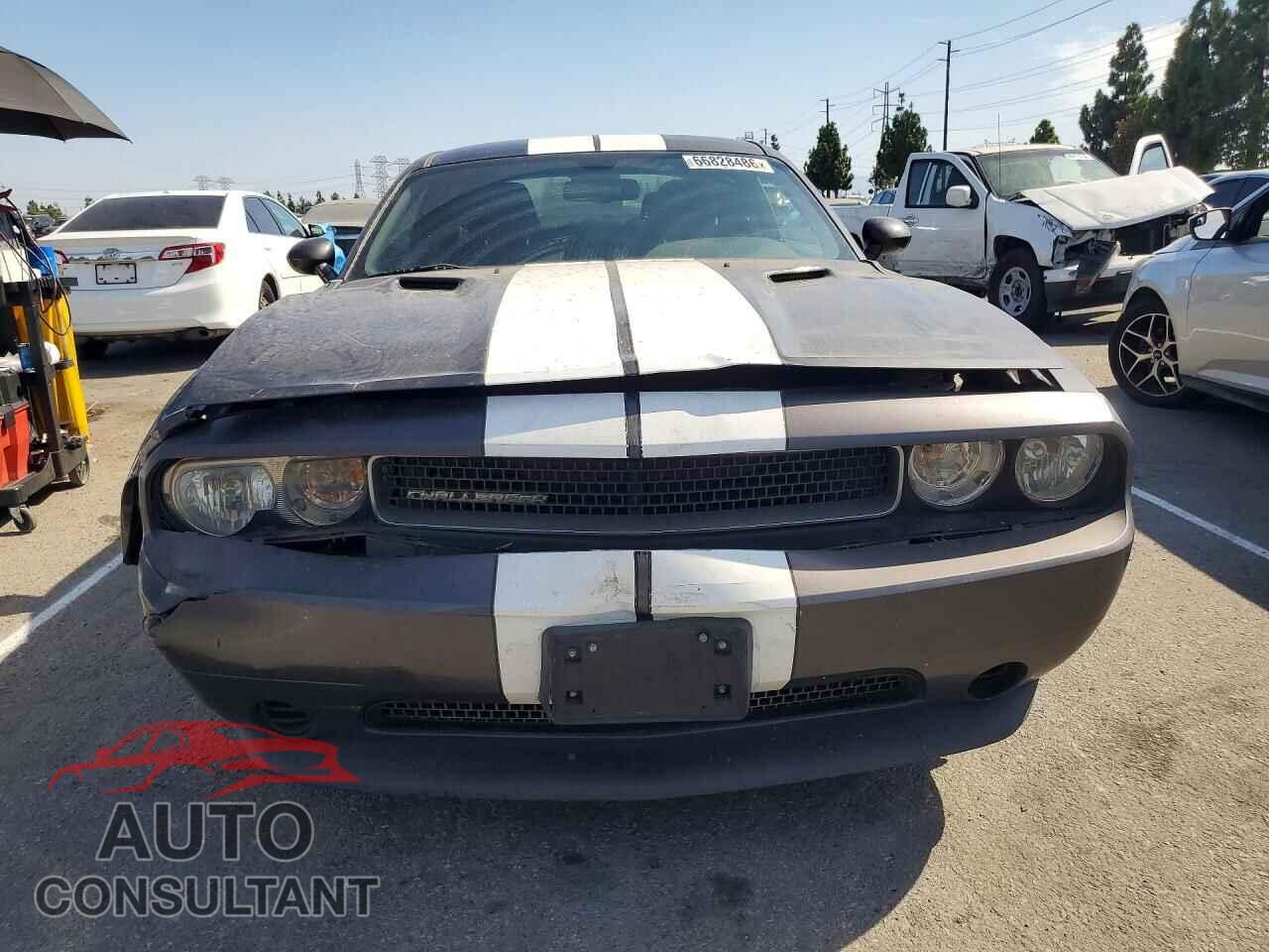DODGE CHALLENGER 2013 - 2C3CDYAG4DH553669