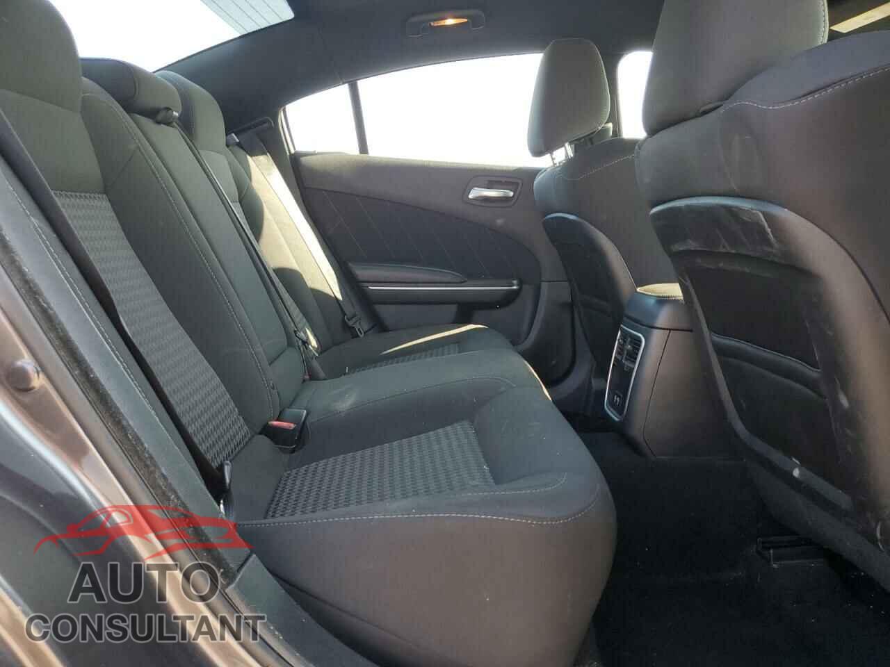 DODGE CHARGER 2019 - 2C3CDXCTXKH549871