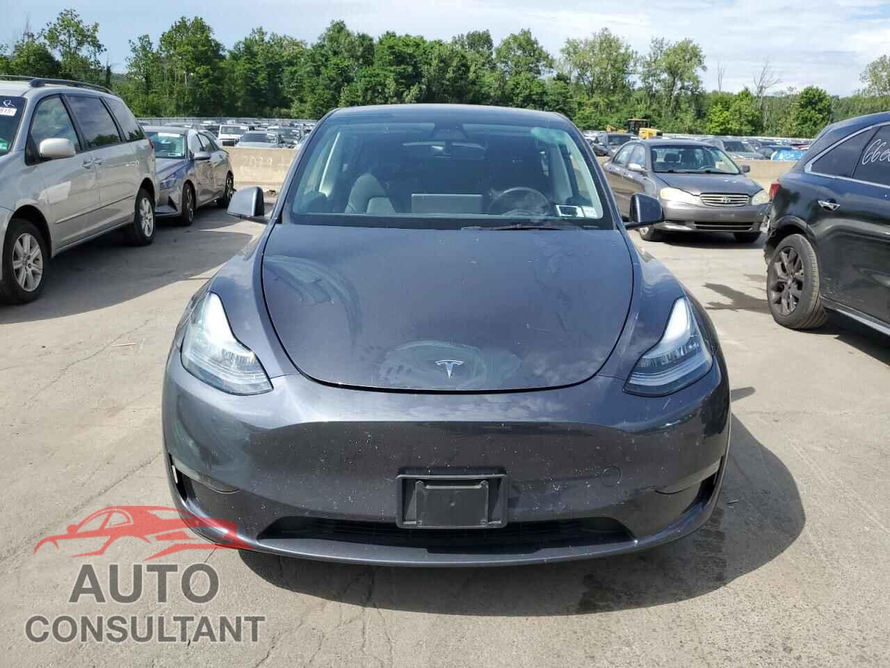 TESLA MODEL Y 2021 - 5YJYGAEE6MF131398