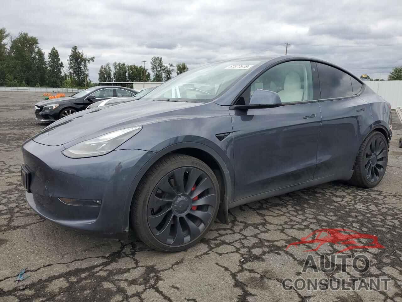 TESLA MODEL Y 2022 - 7SAYGDEF9NF546648
