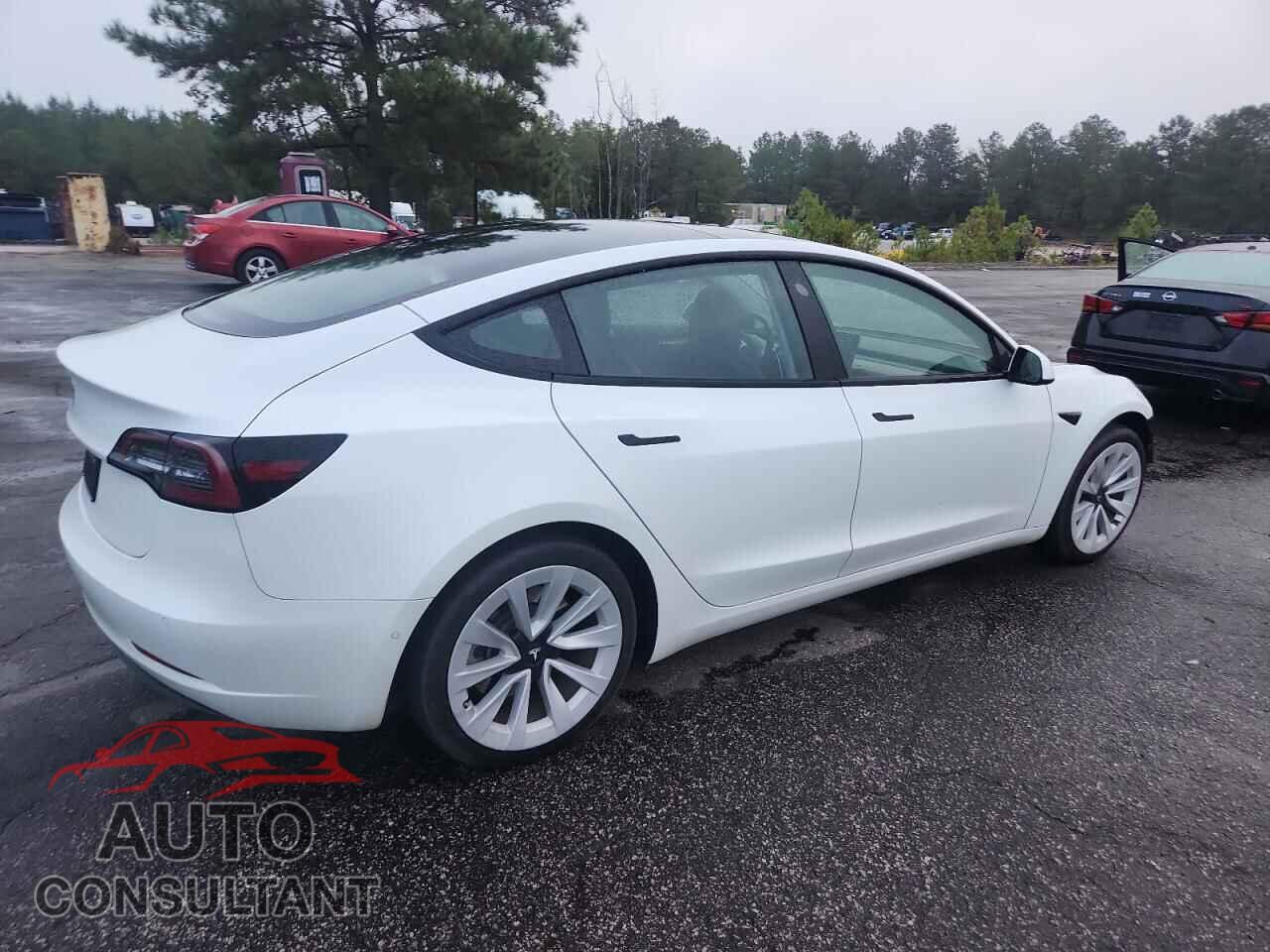 TESLA MODEL 3 2021 - 5YJ3E1EA2MF017749