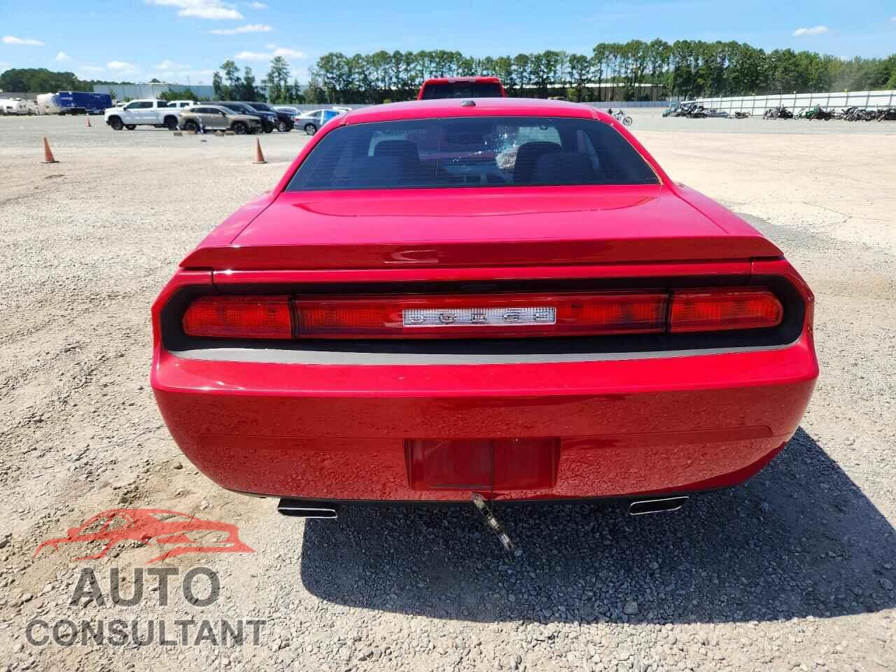DODGE CHALLENGER 2013 - 2C3CDYBT7DH602939