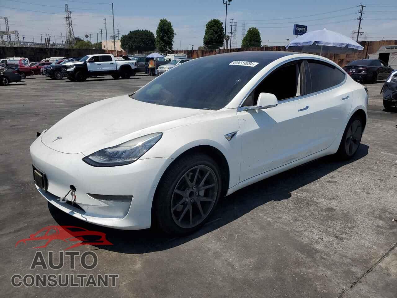 TESLA MODEL 3 2019 - 5YJ3E1EA2KF309849
