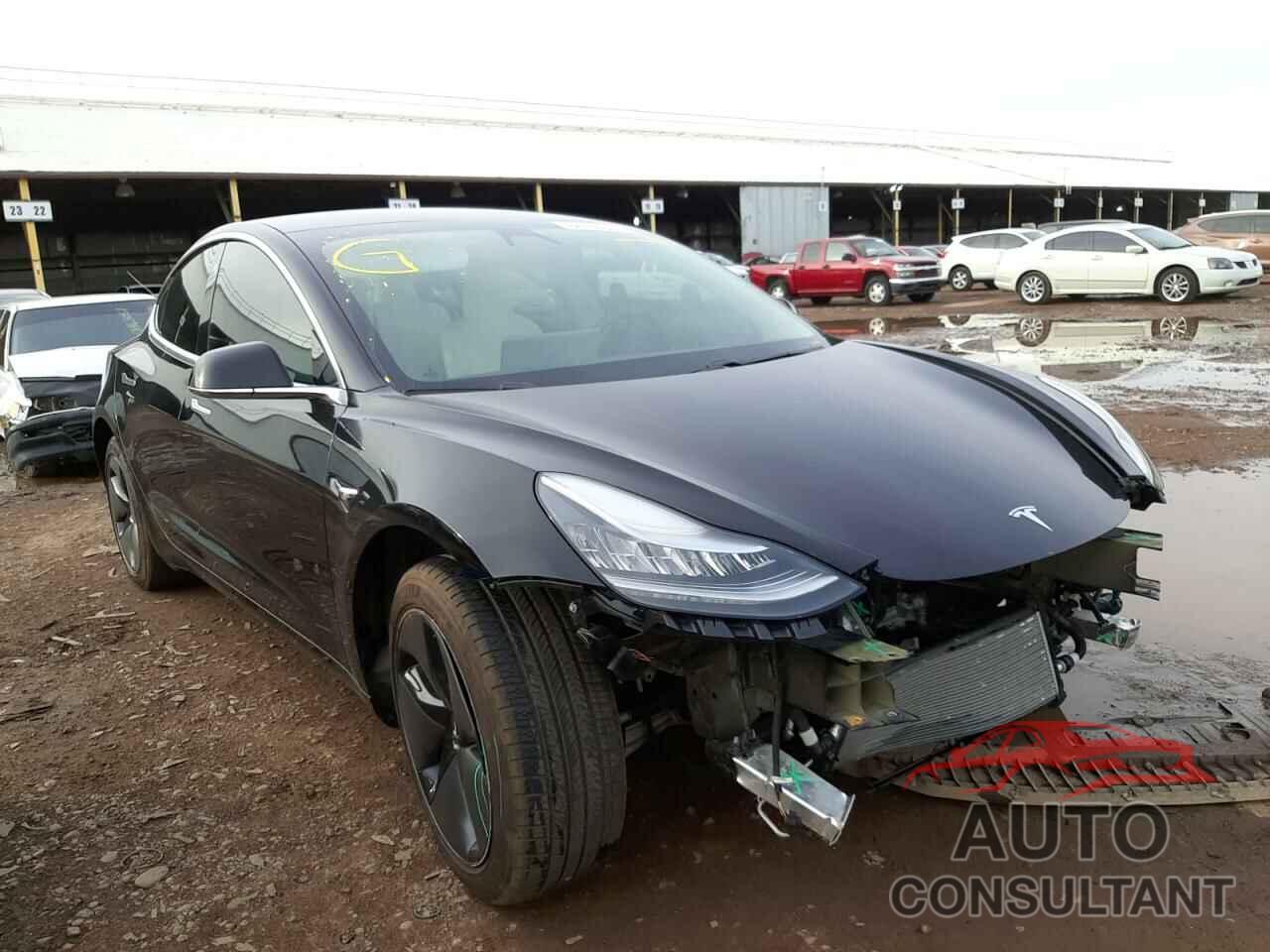 TESLA MODEL 3 2019 - 5YJ3E1EB7KF194819