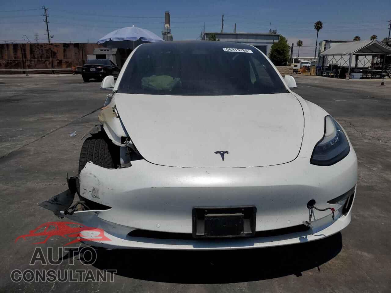 TESLA MODEL 3 2019 - 5YJ3E1EA2KF309849