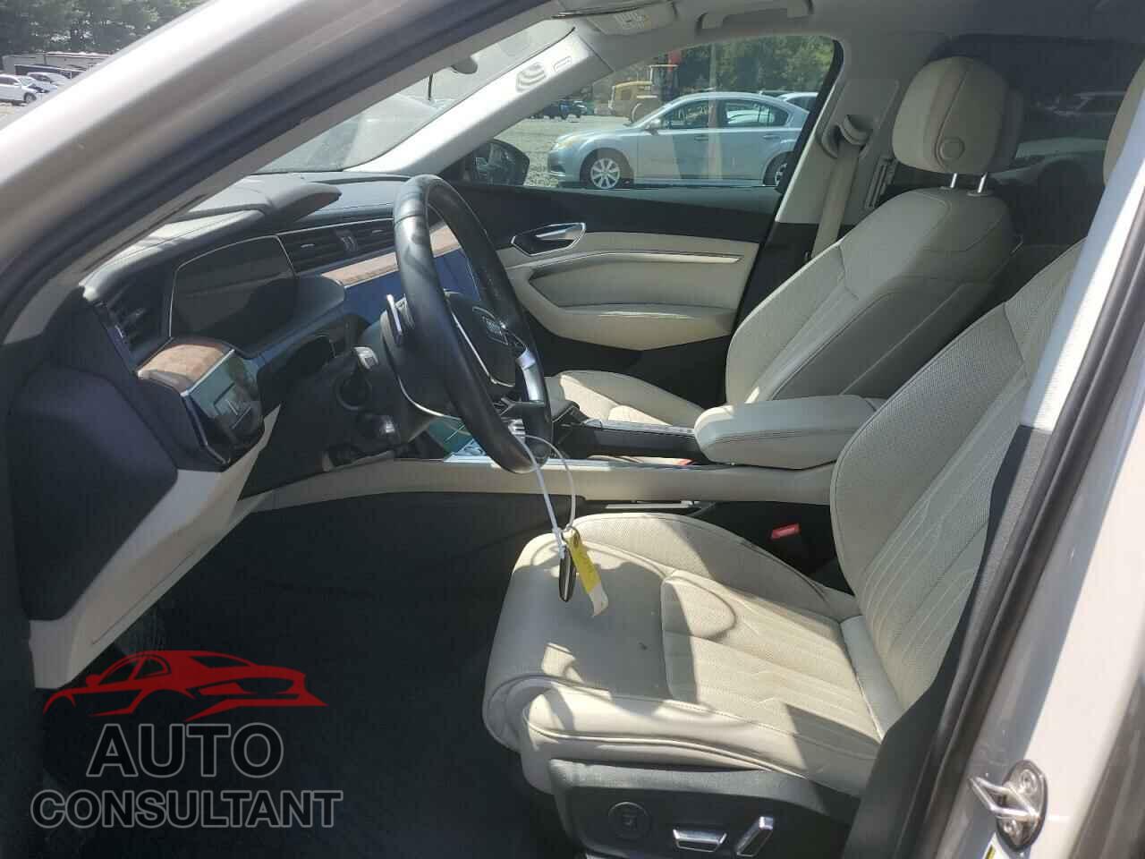 AUDI E-TRON 2019 - WA1VAAGE8KB015048