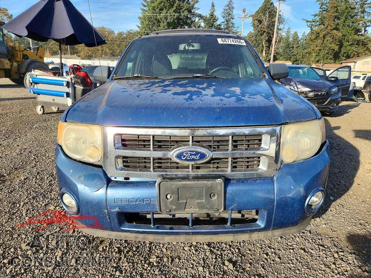 FORD ESCAPE 2010 - 1FMCU9DG6AKB80843