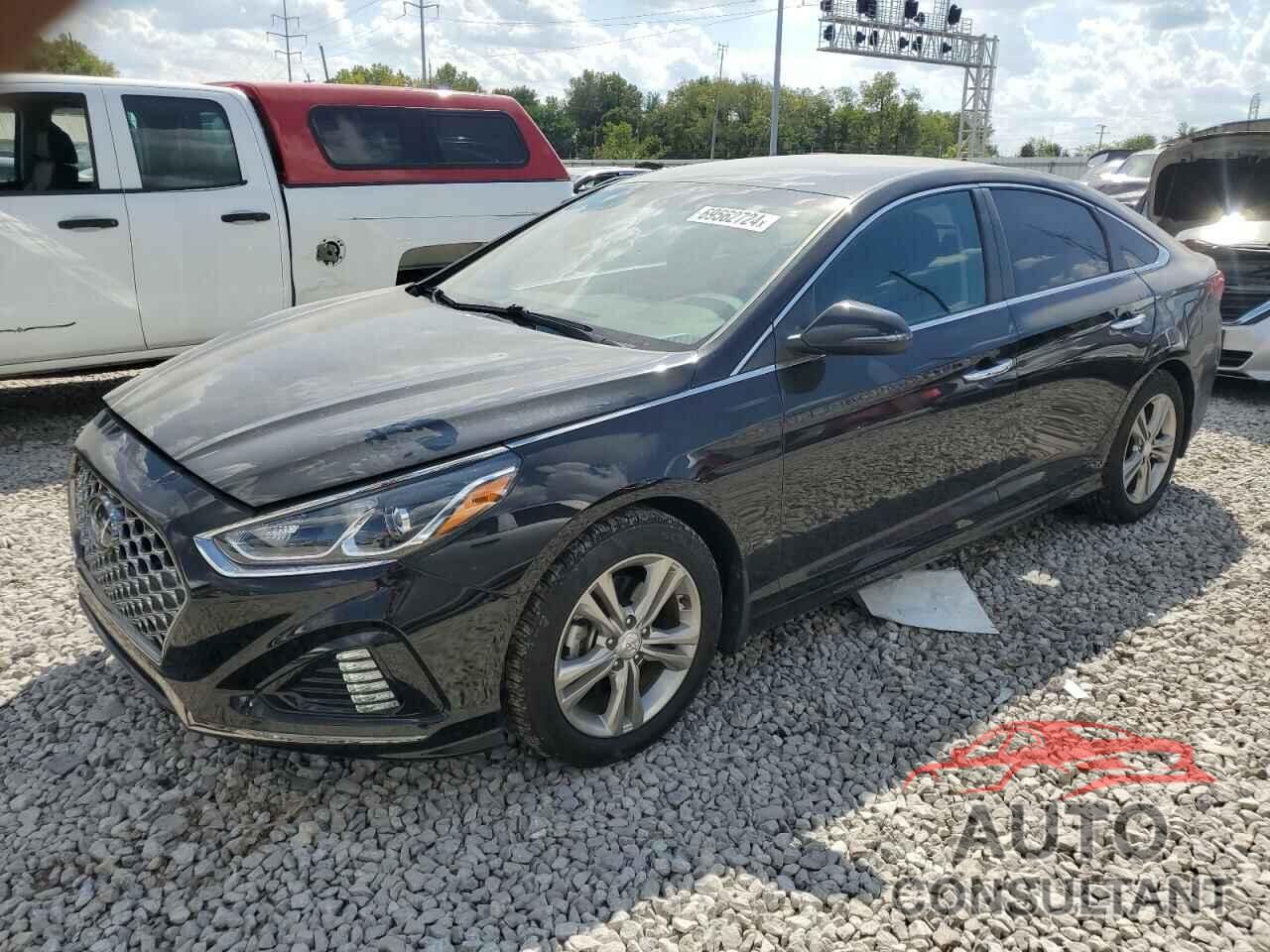 HYUNDAI SONATA 2019 - 5NPE34AF9KH810532