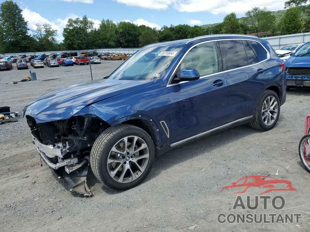 BMW X5 2019 - 5UXCR6C57KLL39223