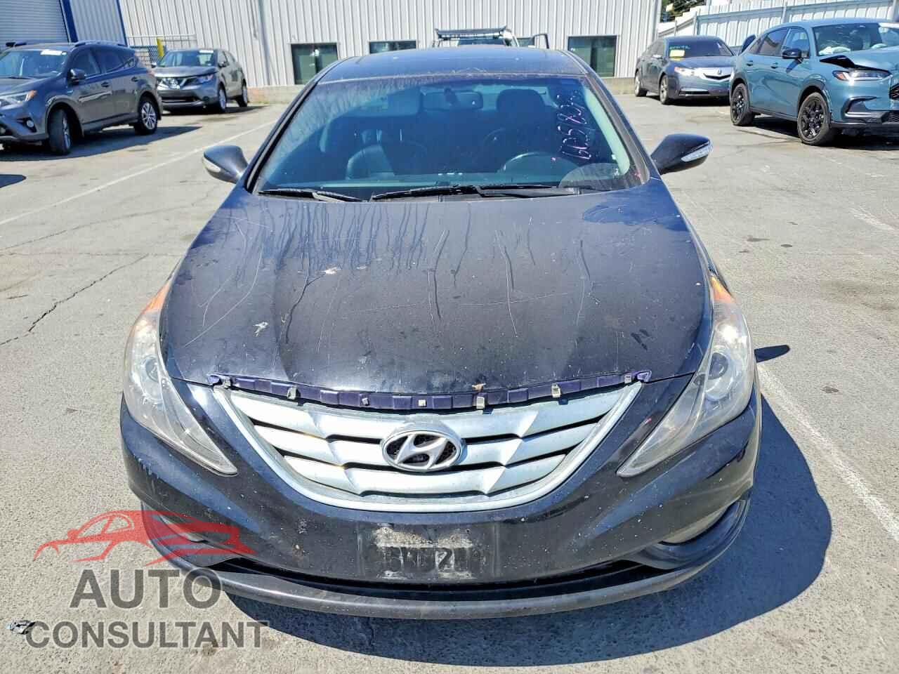 HYUNDAI SONATA 2013 - 5NPEC4AC0DH669245