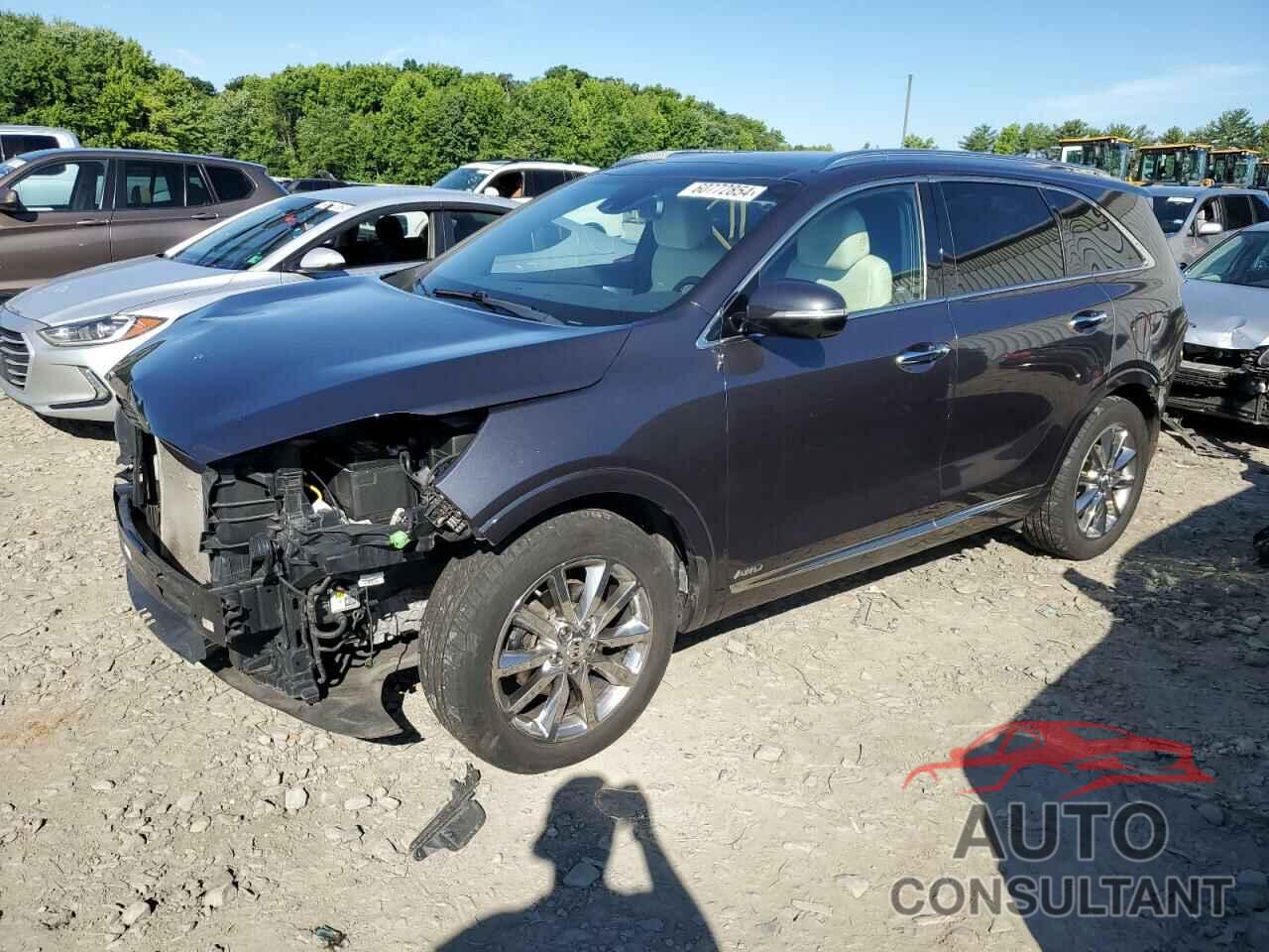 KIA SORENTO 2017 - 5XYPKDA52HG282173