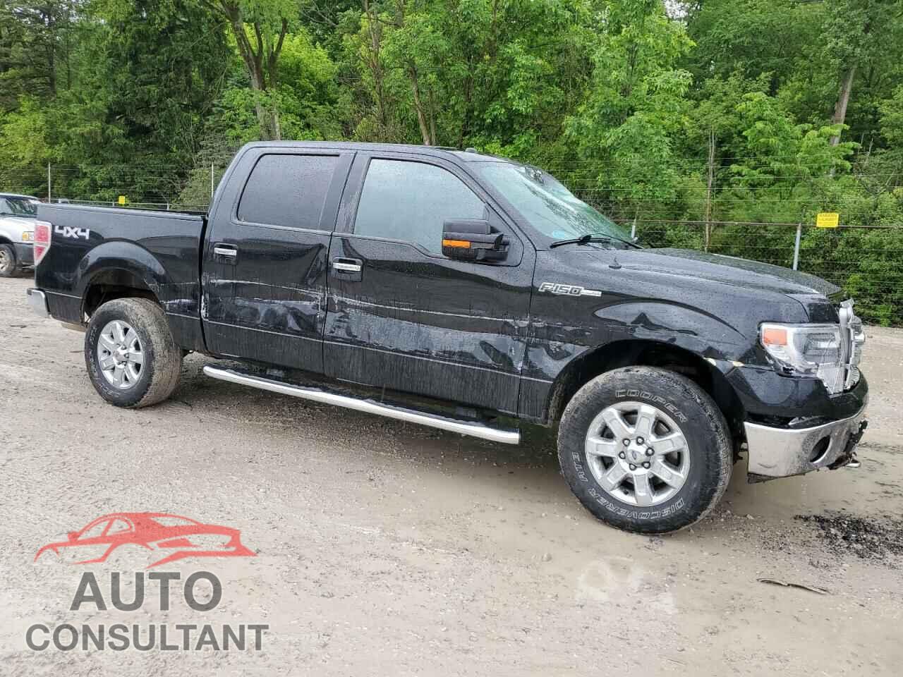 FORD F-150 2014 - 1FTFW1EF2EFC06372
