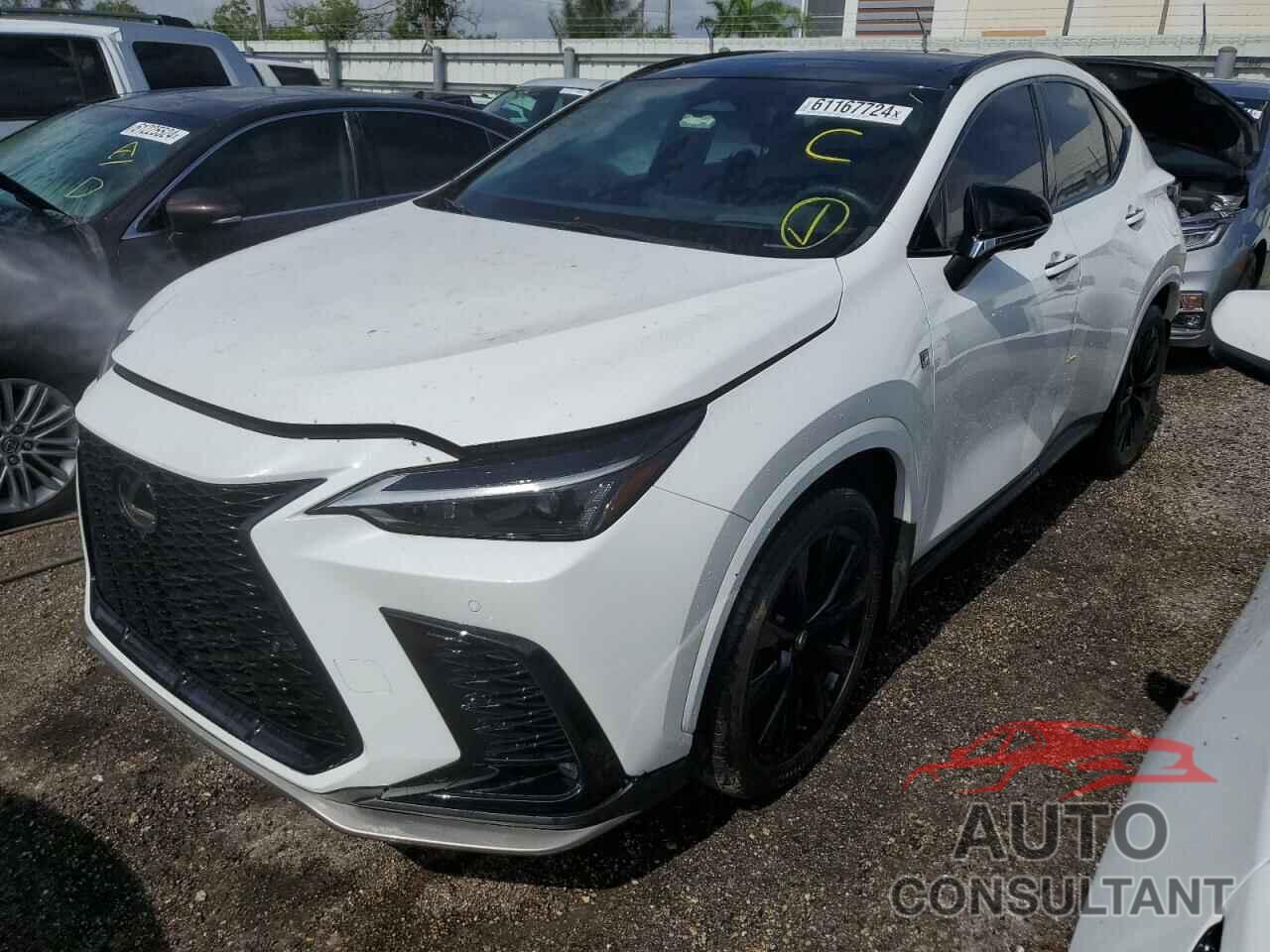 LEXUS NX 350 2023 - 2T2KGCEZ2PC028150