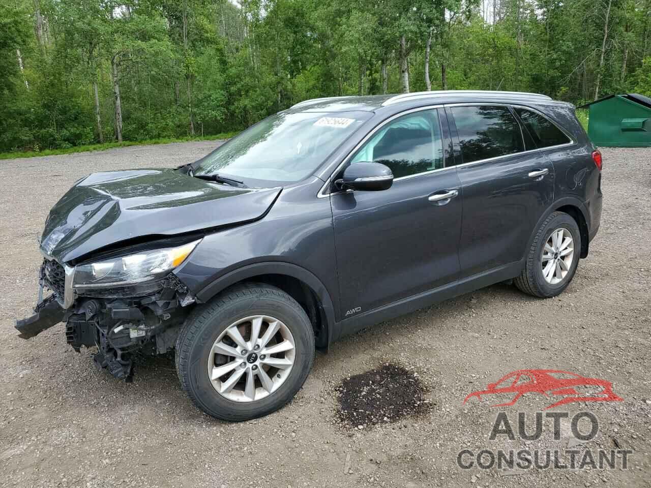 KIA SORENTO 2019 - 5XYPGDA36KG455961