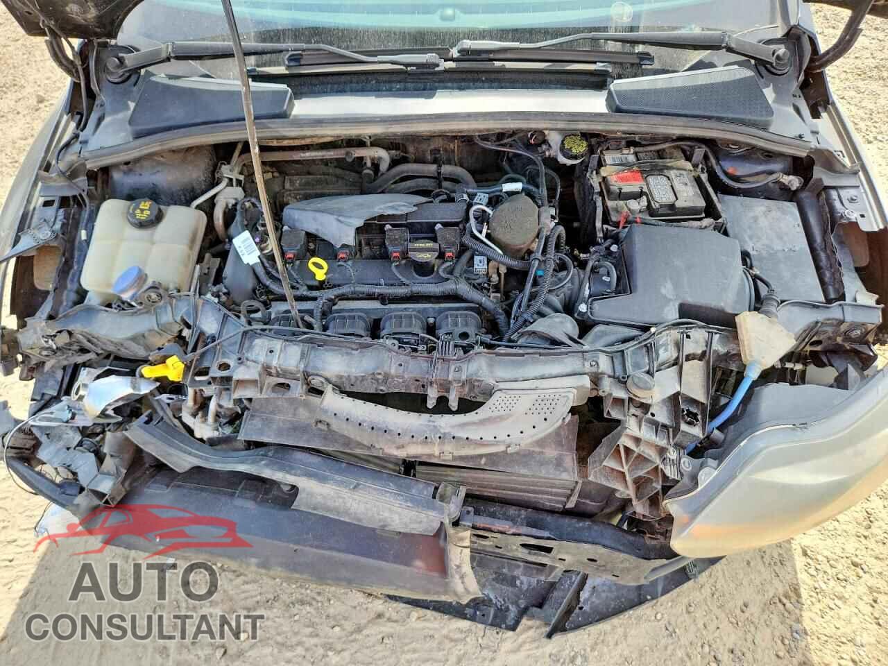 FORD FOCUS 2014 - 1FADP3N25EL187563