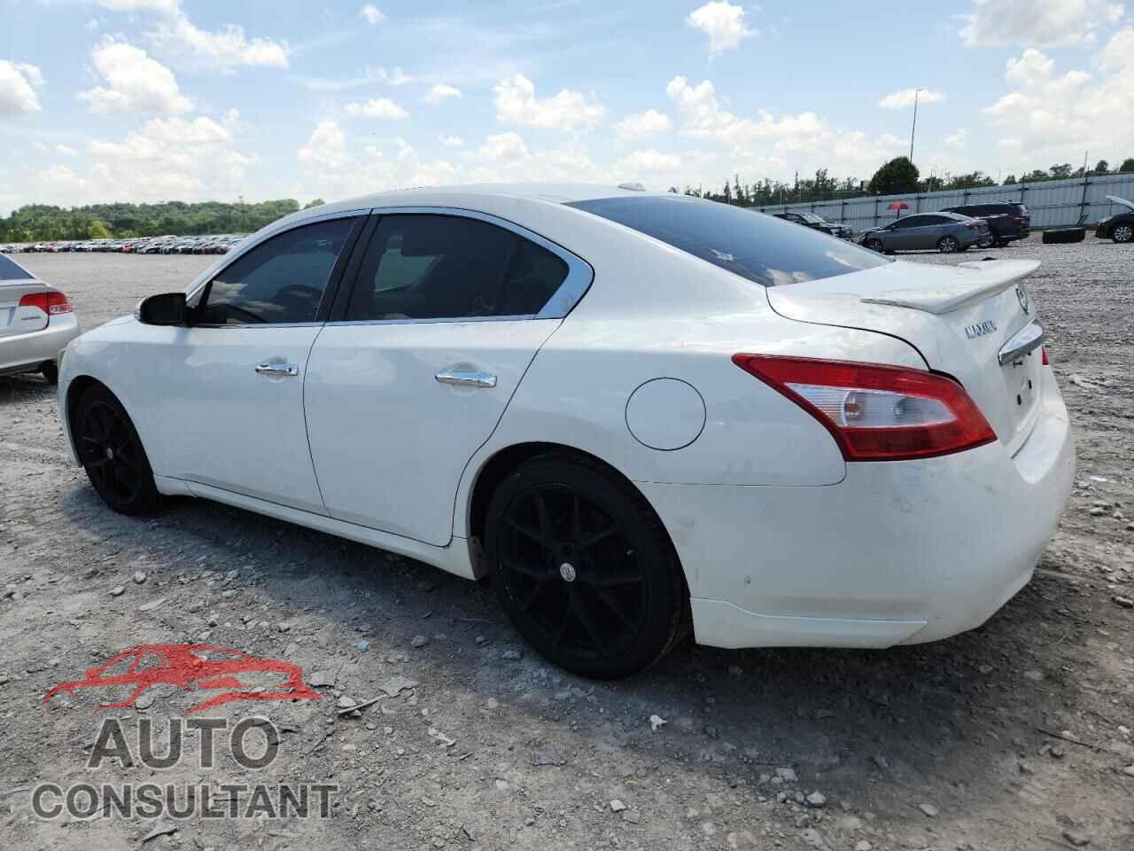 NISSAN MAXIMA 2011 - 1N4AA5AP3BC841523