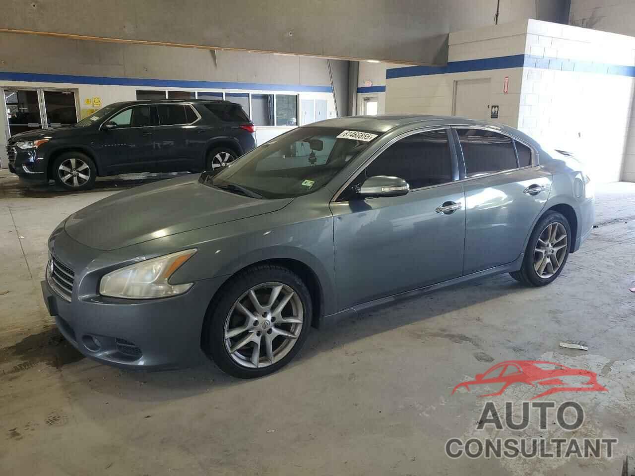 NISSAN MAXIMA 2011 - 1N4AA5AP0BC822248