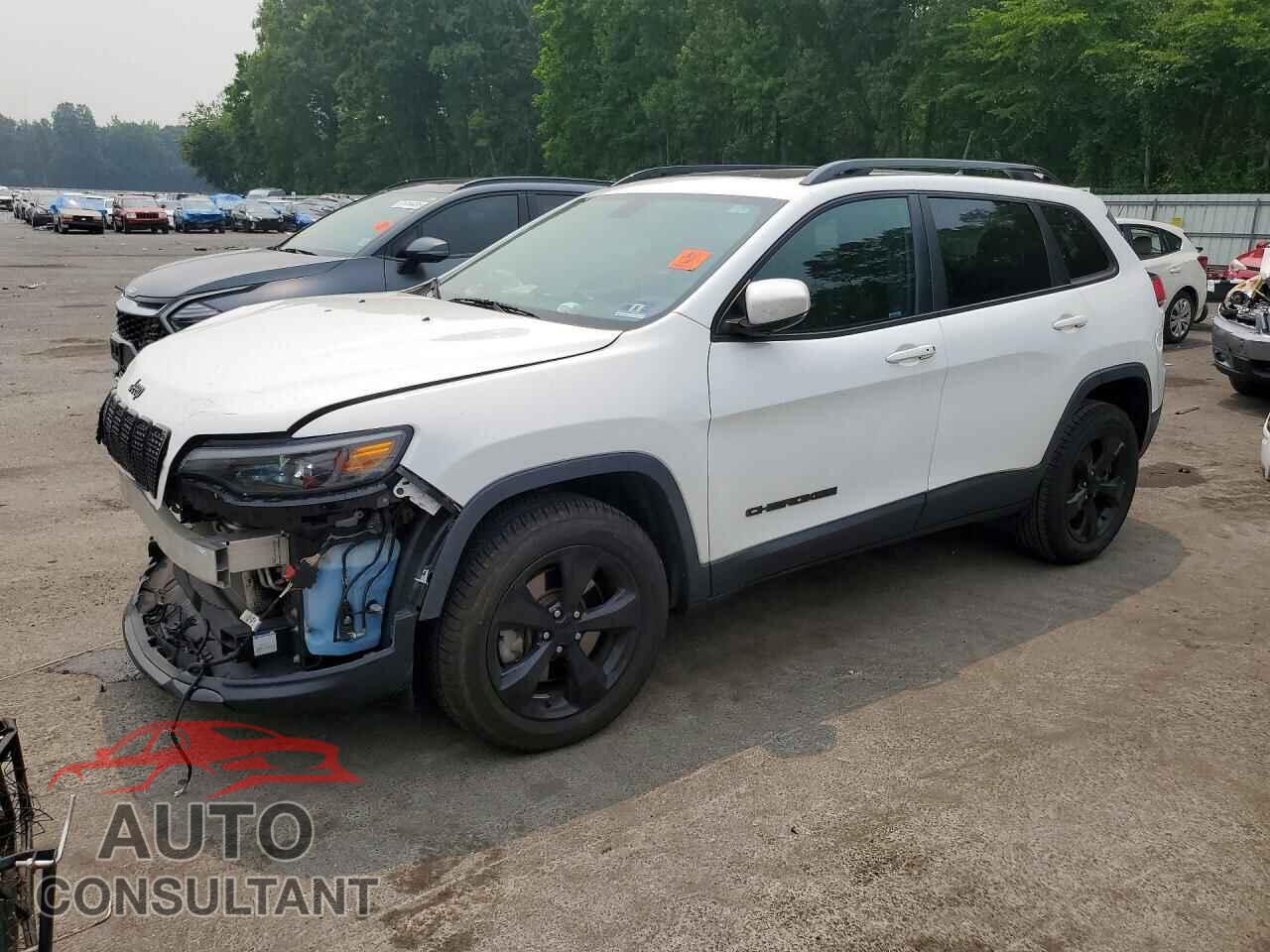 JEEP CHEROKEE 2019 - 1C4PJMLB6KD418011