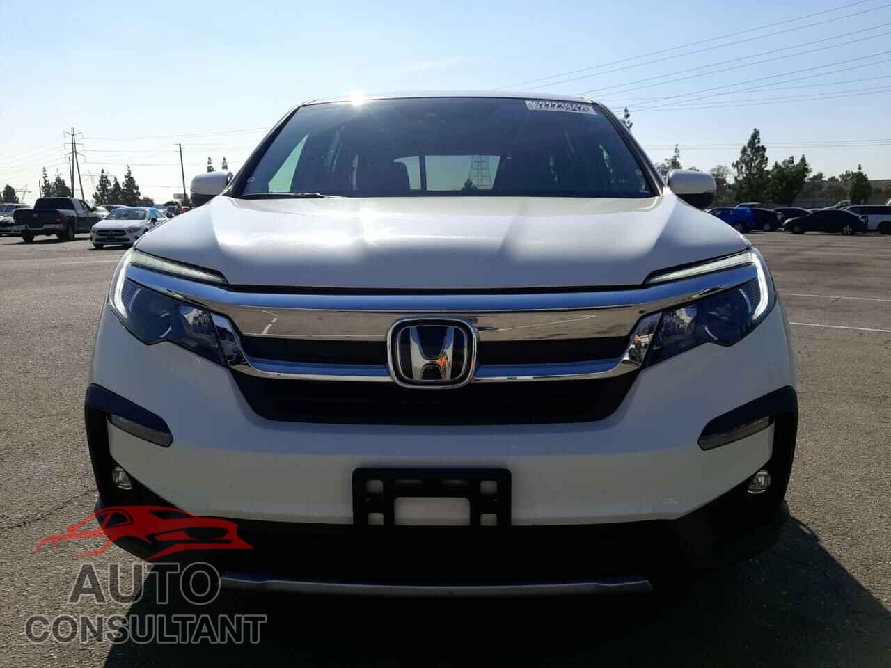 HONDA PILOT 2019 - 5FNYF5H50KB024351