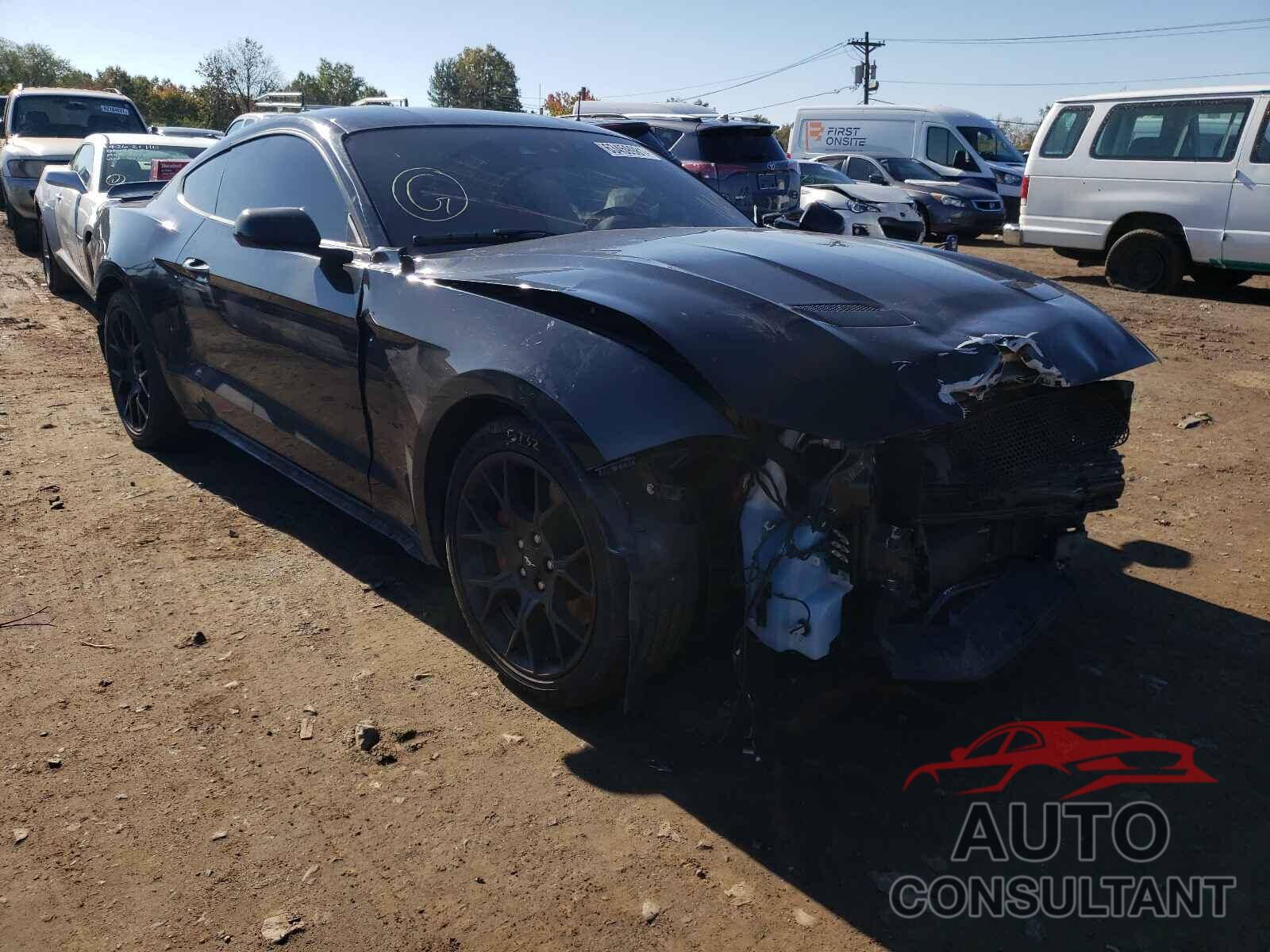 FORD MUSTANG 2019 - 1FA6P8TH1K5198850