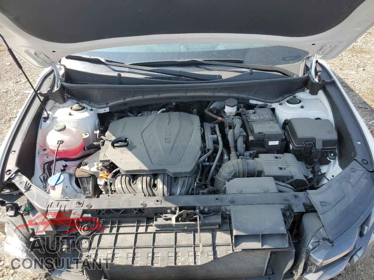 HYUNDAI TUCSON 2025 - 3KMJCCDEXSE005152
