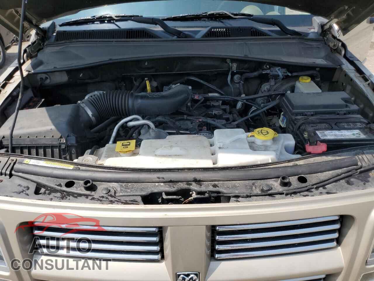 DODGE NITRO 2010 - 1D4PU5GK3AW154209