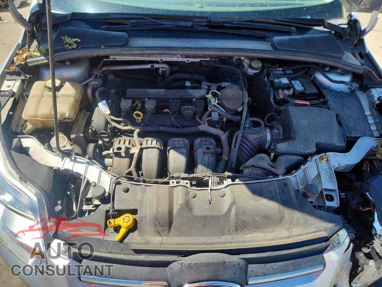 FORD FOCUS 2012 - 1FAHP3F21CL424675