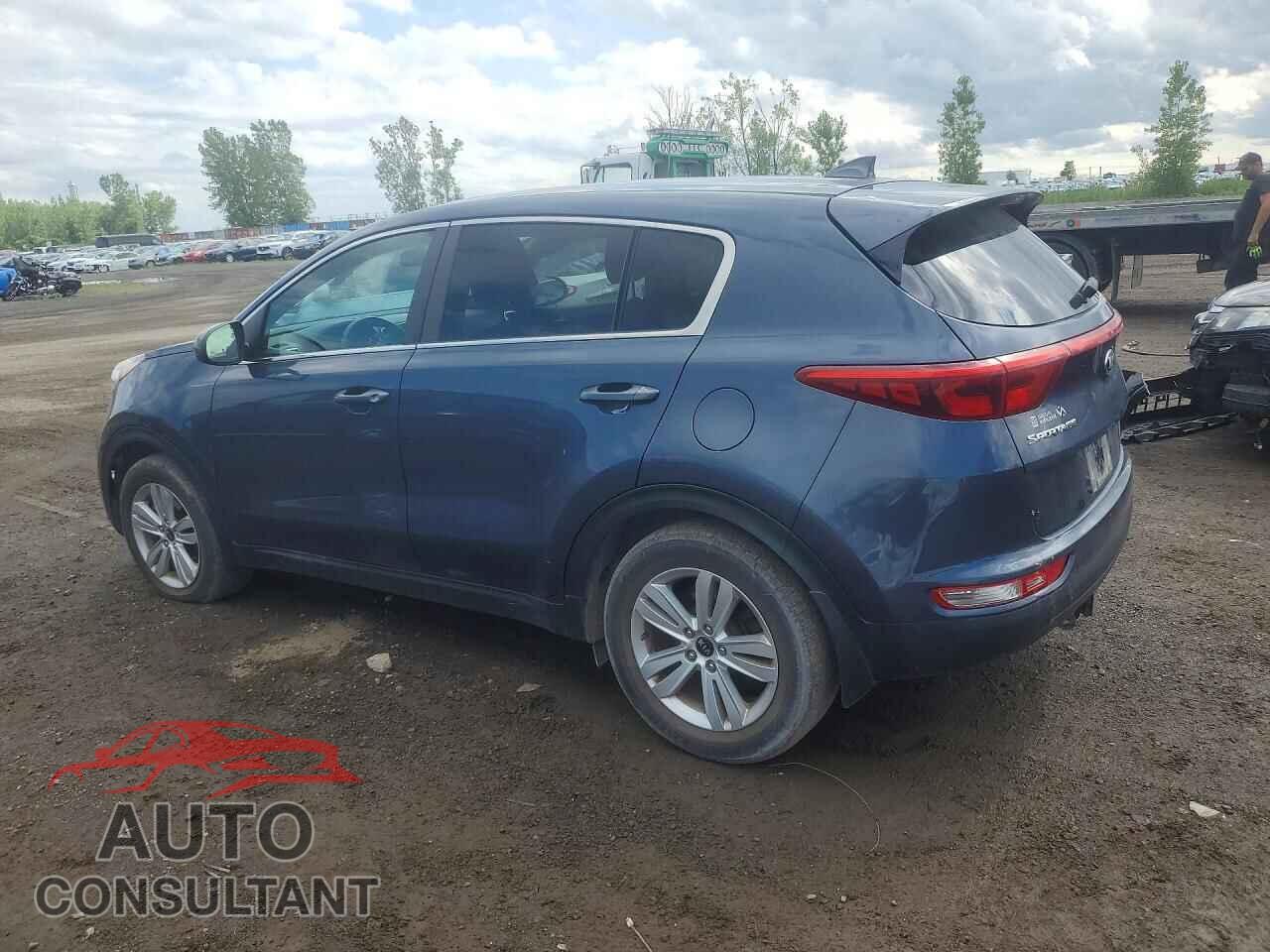KIA SPORTAGE 2017 - KNDPM3AC2H7255152