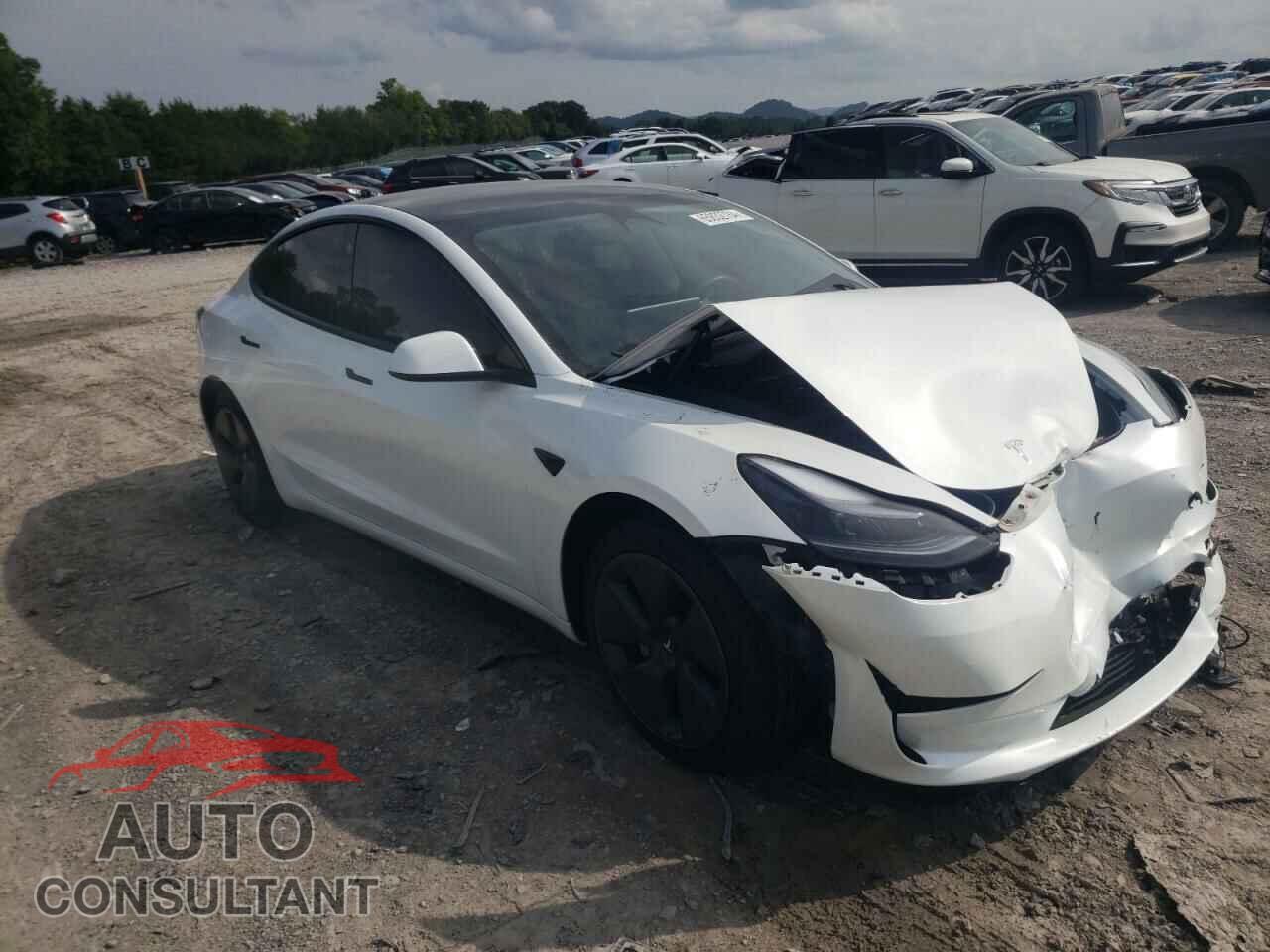 TESLA MODEL 3 2023 - 5YJ3E1EA9PF591544