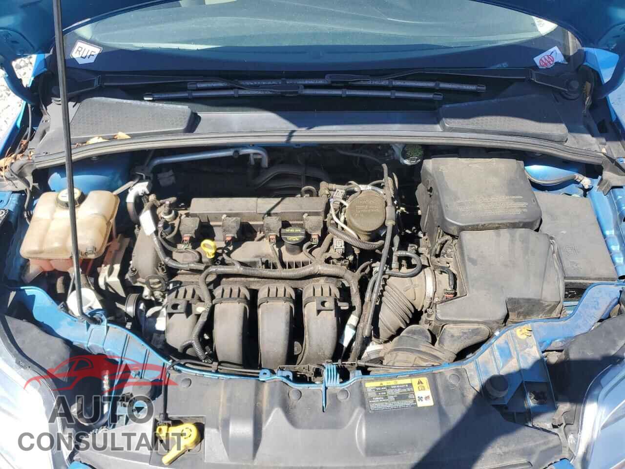 FORD FOCUS 2013 - 1FADP3F2XDL216875
