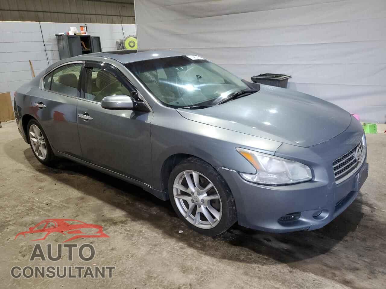 NISSAN MAXIMA 2009 - 1N4AA51E29C856703