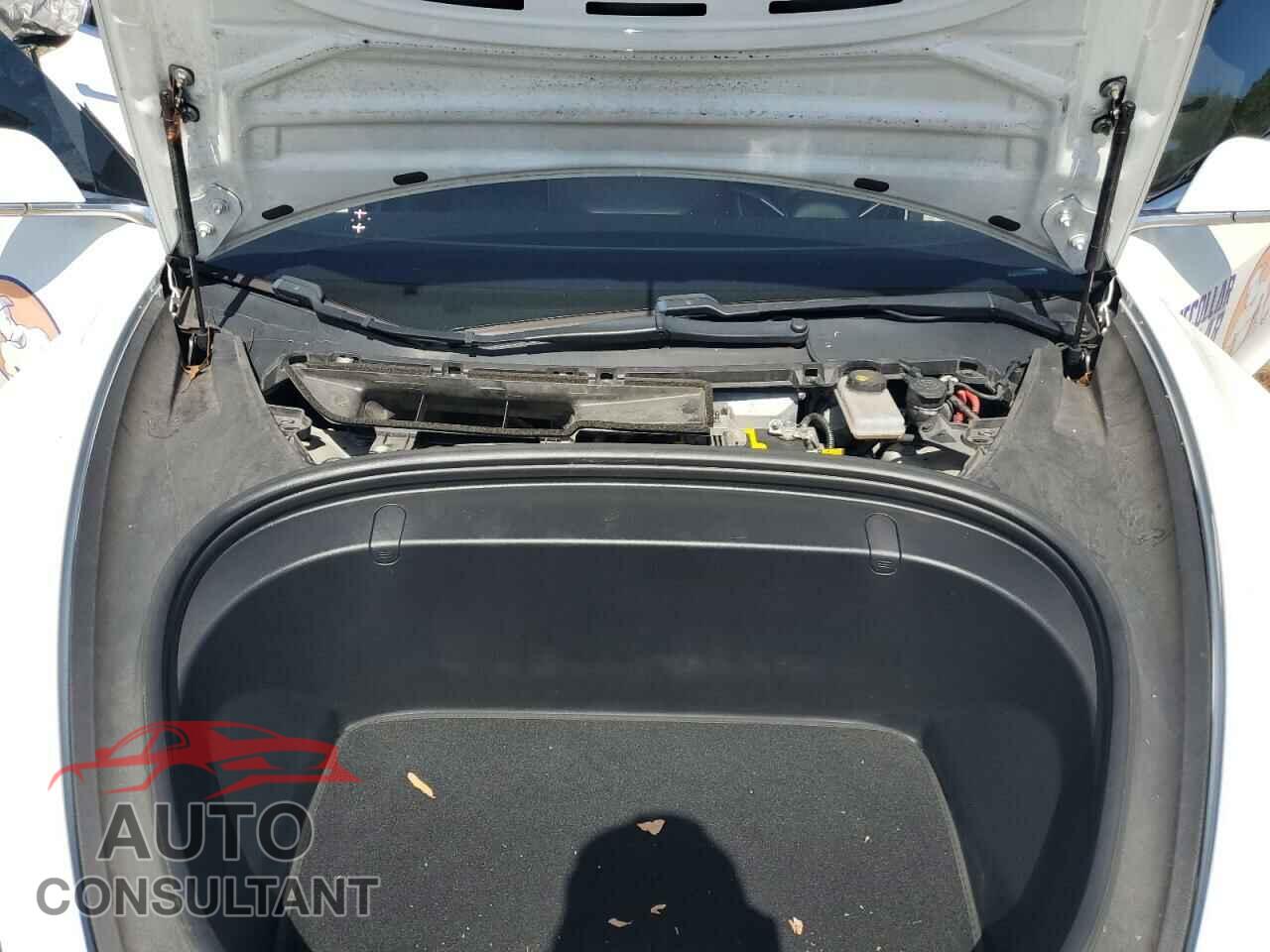 TESLA MODEL 3 2019 - 5YJ3E1EB0KF437726