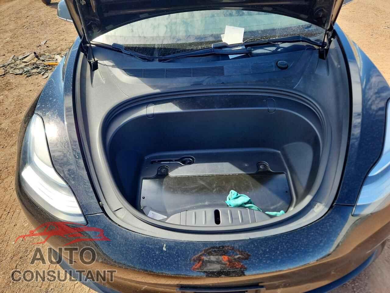 TESLA MODEL 3 2019 - 5YJ3E1EA9KF305460