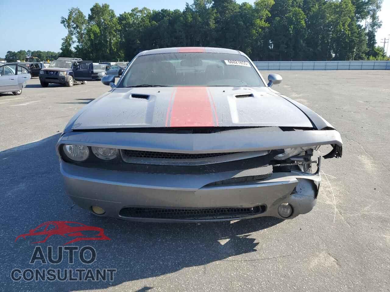 DODGE CHALLENGER 2013 - 2C3CDYAG3DH734231