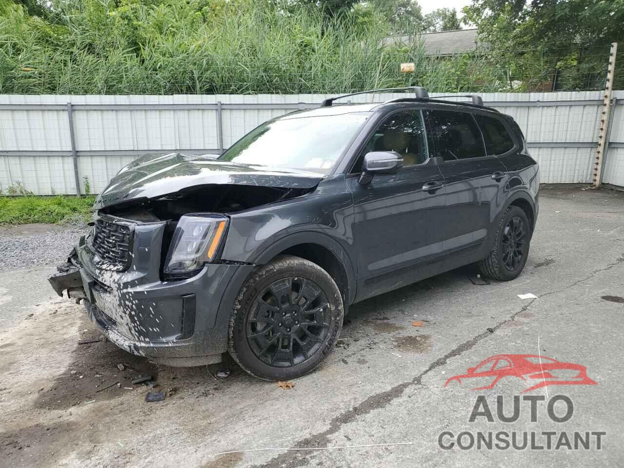 KIA TELLURIDE 2021 - 5XYP5DHC0MG159123