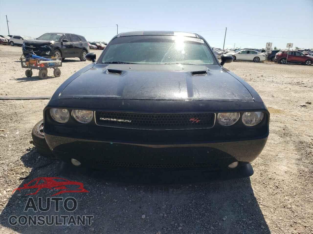 DODGE CHALLENGER 2013 - 2C3CDYBT2DH604923