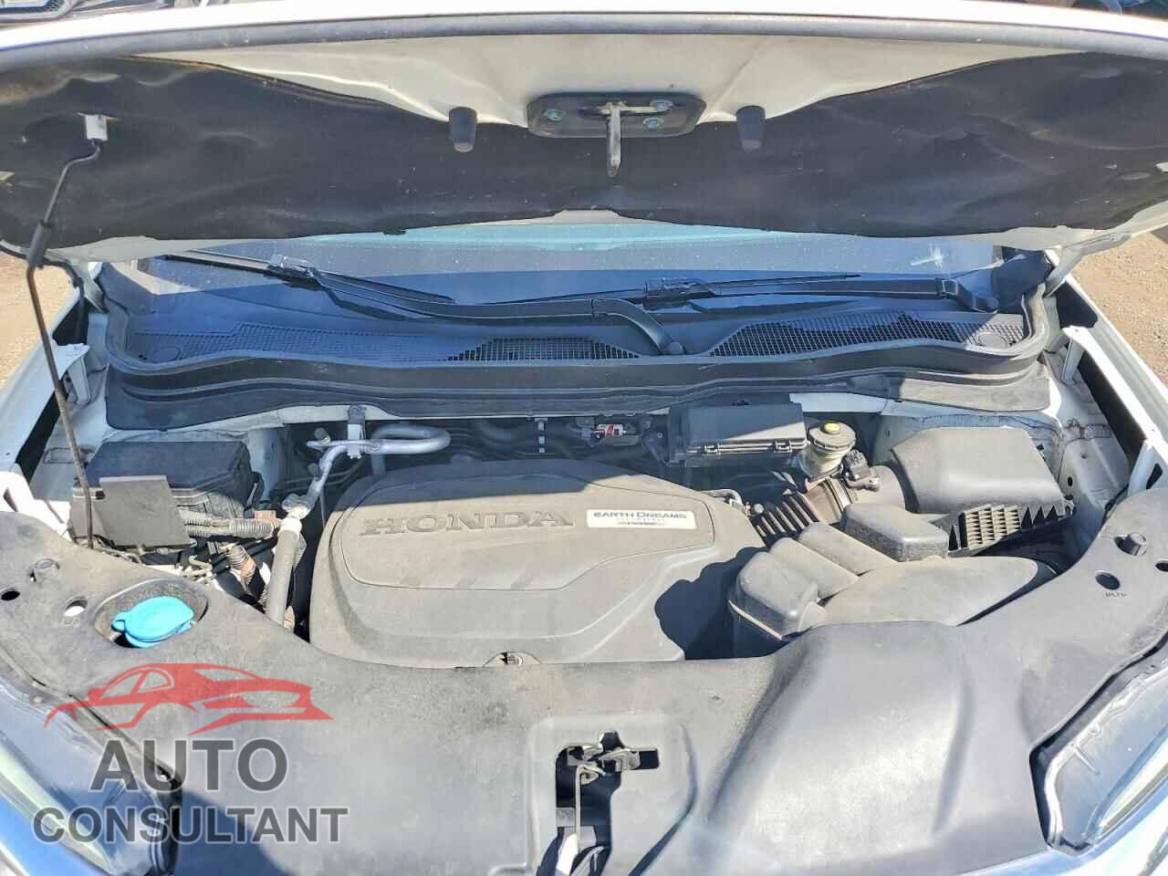 HONDA PILOT 2019 - 5FNYF6H09KB021619