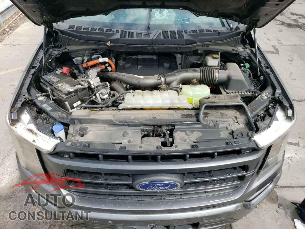 FORD F-150 2021 - 1FTFW1ED5MFB62316