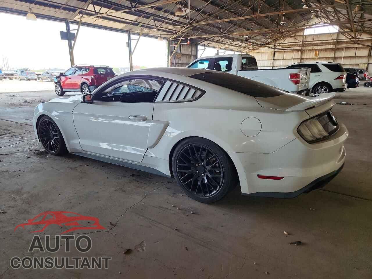 FORD MUSTANG 2019 - 1FA6P8CF9K5120525