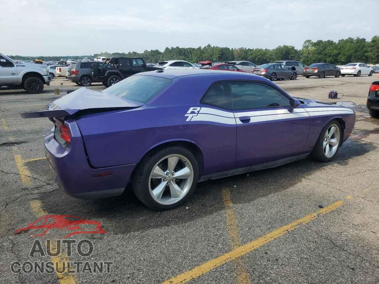 DODGE CHALLENGER 2013 - 2C3CDYBT8DH671736