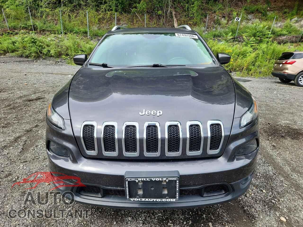 JEEP CHEROKEE 2016 - 1C4PJMCB0GW332897