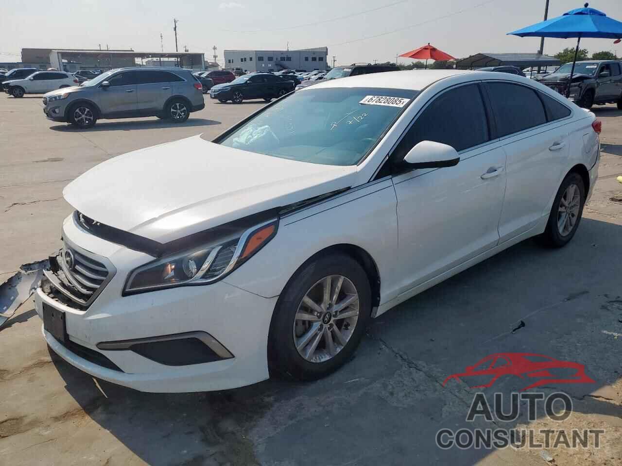 HYUNDAI SONATA 2017 - 5NPE24AF7HH595325