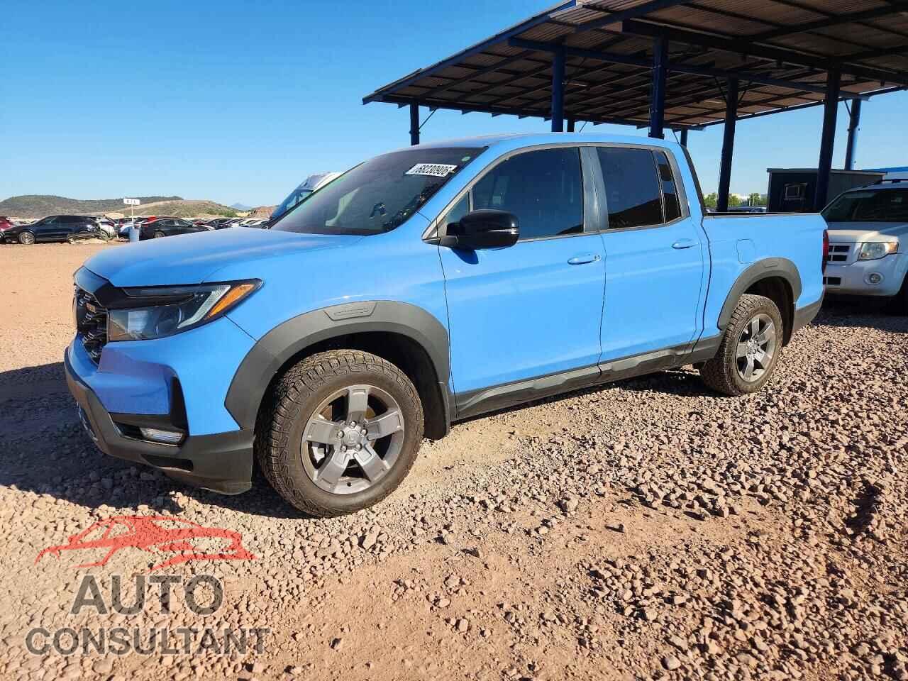 HONDA RIDGELINE 2024 - 5FPYK3F61RB032505